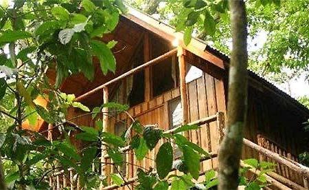 Bayrams Tree Houses Olympos Kültér fotó