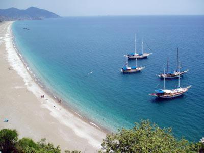 Bayrams Tree Houses Olympos Kültér fotó