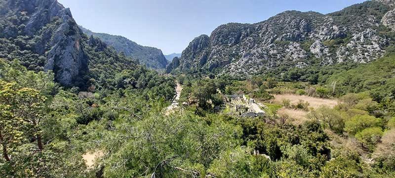 Bayrams Tree Houses Olympos Kültér fotó