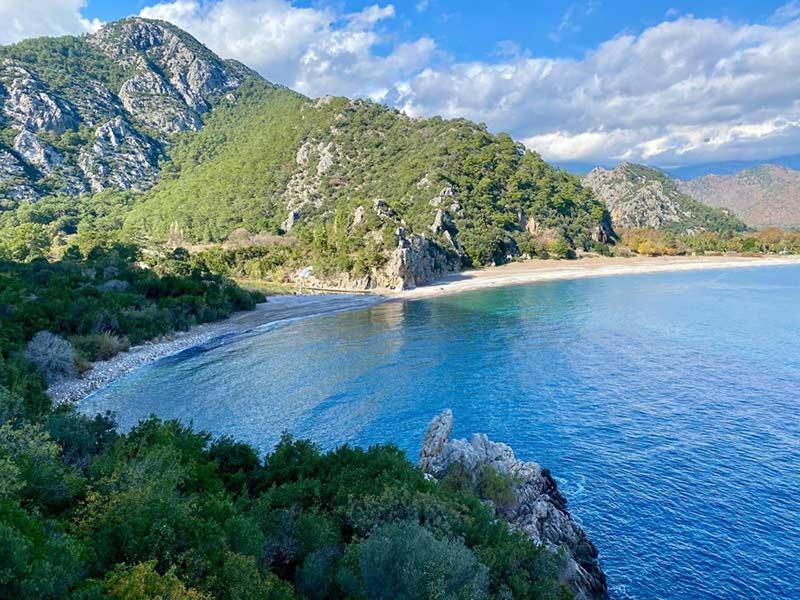 Bayrams Tree Houses Olympos Kültér fotó