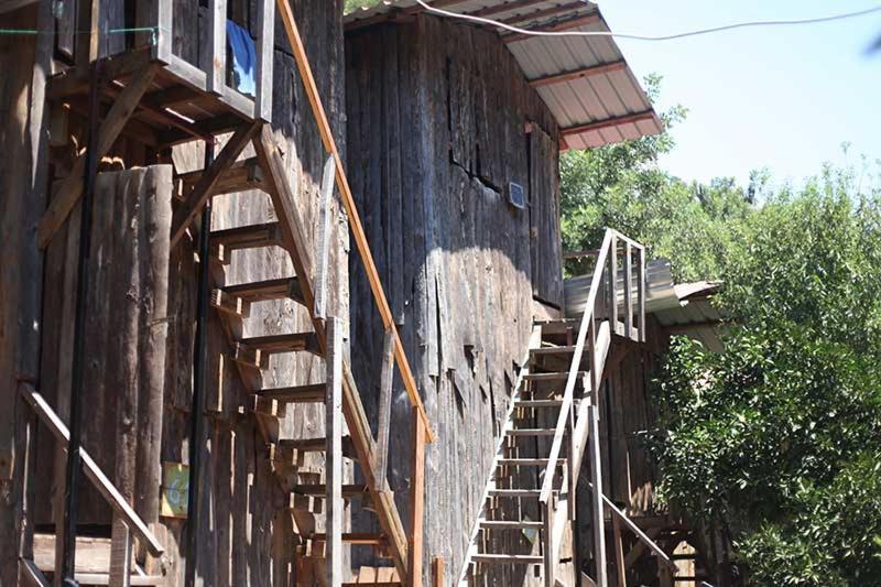 Bayrams Tree Houses Olympos Kültér fotó
