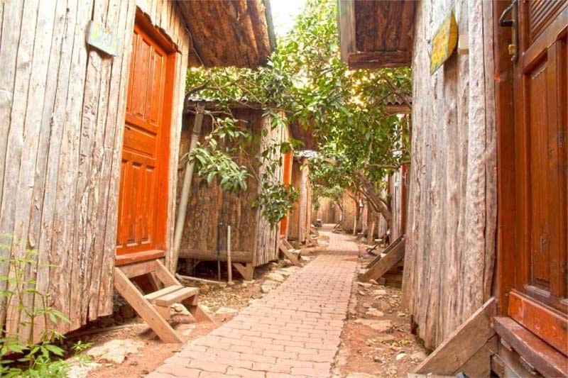 Bayrams Tree Houses Olympos Kültér fotó